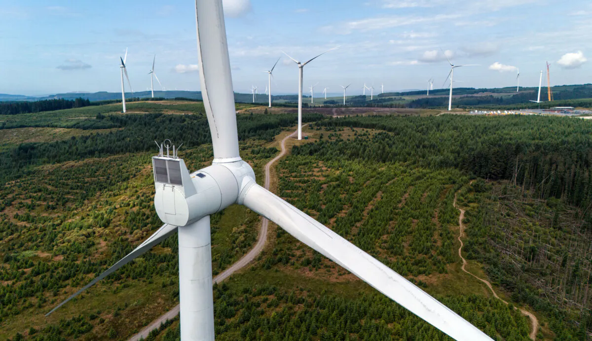 Wind turbines dot the landscape at Pen y Cymoedd Wind Farm in Wales, the UK, on Aug. 1, 2024. (Carl Court/Getty Images)