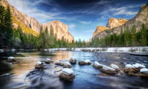NTD Photography Competition Extends Its Registration Deadline