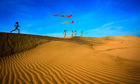 NTD Invites Entries to Worldwide Photography Competition