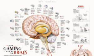 INFOGRAPHIC: How Gaming Changes the Brain
