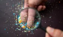 Microplastics Found in Blood and Organs Linked to Multiple Cancer Risks