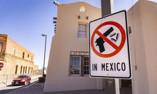 Illegal Immigrant Pleads Guilty to Purchasing 91 Firearms