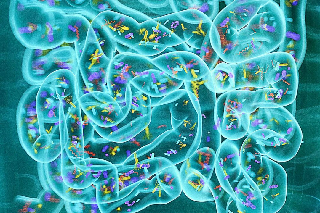 Diet's Impact on Gut Microbiome Health Revealed by Researchers