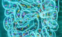 Fighting C. diff With Bacteria, Not Antibiotics