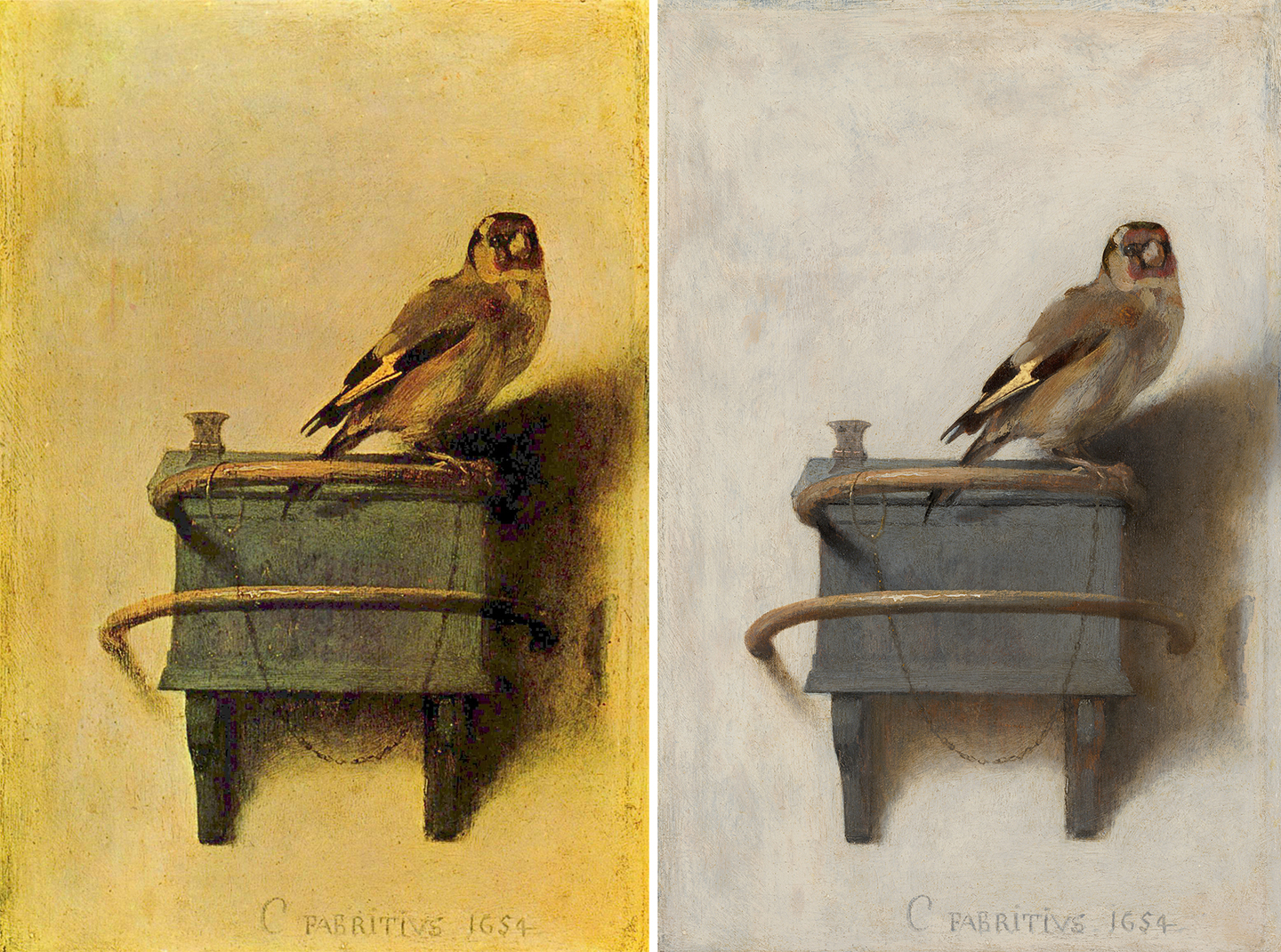Composite Of The Goldfinch