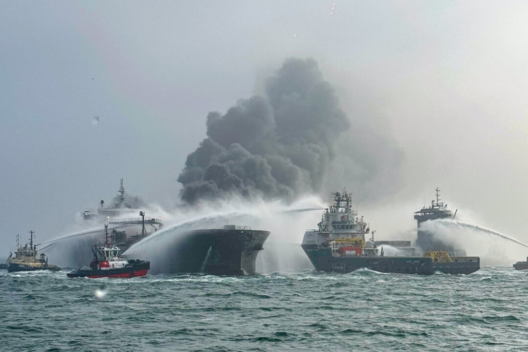 NextImg:Day in Photos: Ship Collision, Strike at German Airports, and Holi Festival