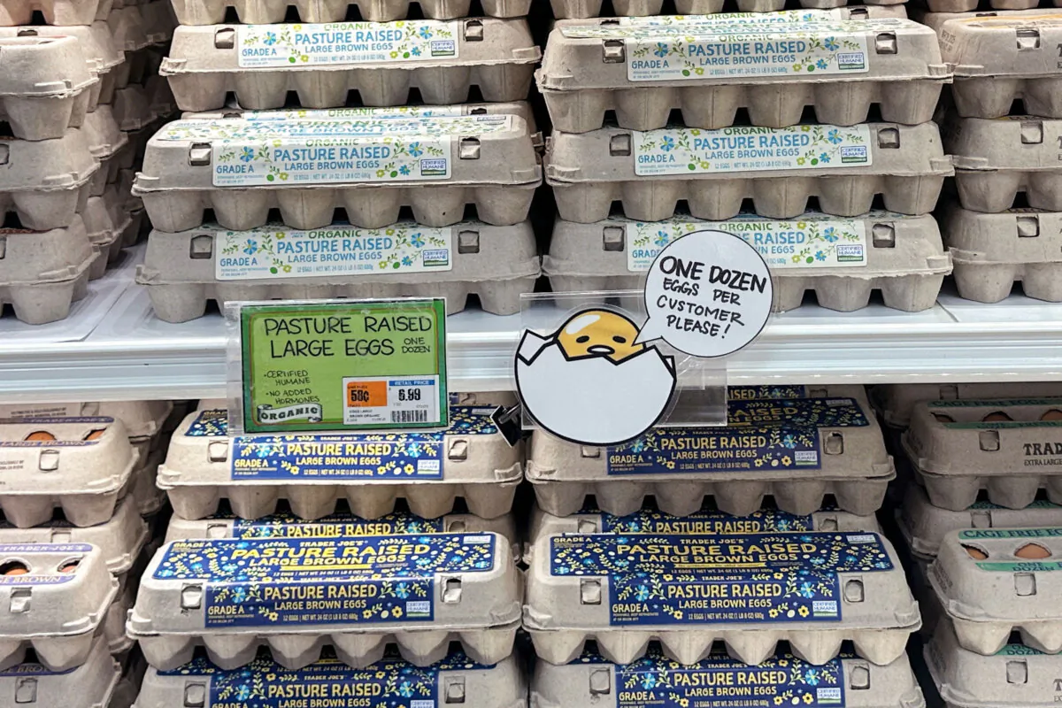 An "only one dozen per customer" sign for eggs at Trader Joe’s hangs by the cartons in Merrick, N.Y., on Feb. 16, 2025. (Shannon Stapleton/Reuters)
