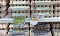 February Inflation: A Temporary Relief or the Start of a Lasting Trend?