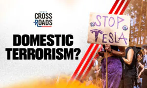Attacks on Tesla Labeled as Domestic Terrorism | Live With Josh