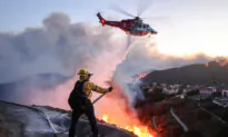 29-Year-Old Florida Man Arrested Over Palisades Fire