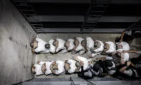 News Brief: US and Russian Negotiators Meet in Saudi Arabia; Judge Maintains Blocks on Trump Admin’s Use of Alien Enemies Act for Deportations