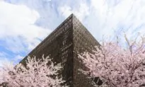 Delight in Washington’s Cherry Blossoms and Citywide Festival