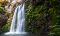 The Highway of Waterfalls: A Wondrous Journey 