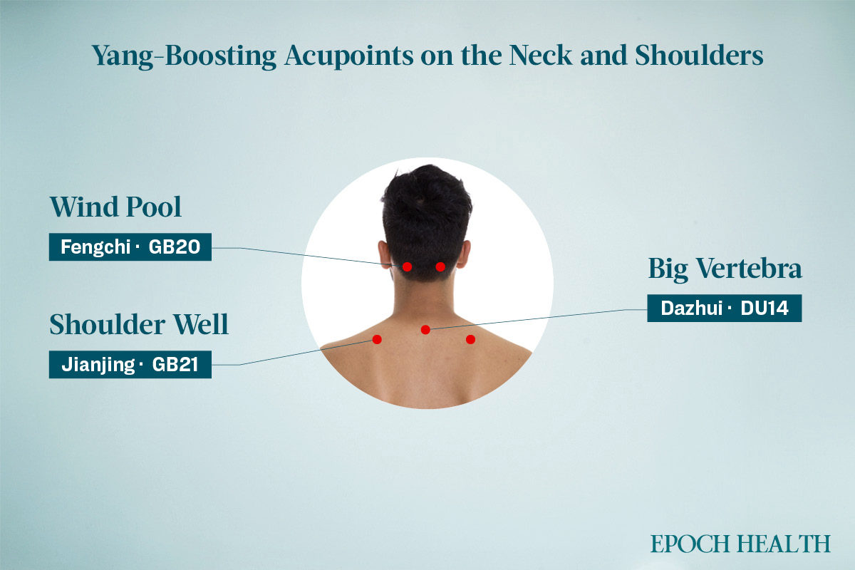 Yang-boosting acupoints located on the neck and shoulders. (The Epoch Times)