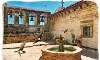 Flight of Faith: The Enduring Mystery of Capistrano’s Swallows