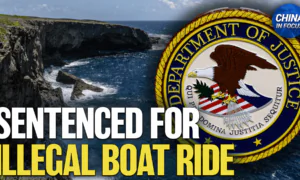 US Sentences Chinese National for Trying to Transport Illegal Immigrants
