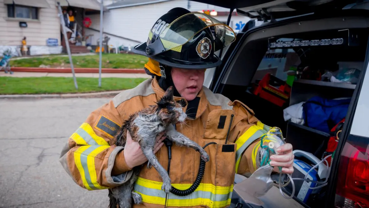 A firefighter gives a cat oxygen to revive her. (Steven Matto/Shutterstock)