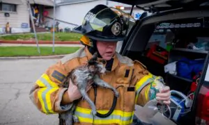 After Home Fire, Bathe Pet and Visit Veterinarian