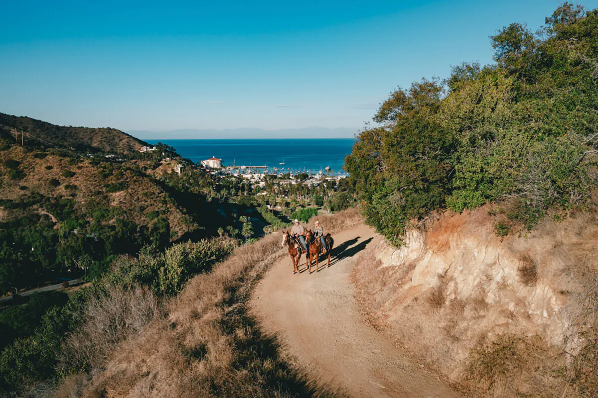 Catalina Horseback Adventures offers rides on the island. (Ryan Longnecker/Catalina Horseback Adventures/TNS)