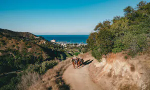 On Catalina Island, You Can Now Ride a Horse on Rolling Hills to Scenic Cliffs