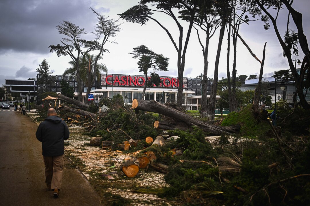 NextImg:Day in Photos: Storm Martinho in Portugal, Suspension Bridge Collapses in Ecuador, and Basalt Columns in Ireland