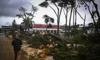 Day in Photos: Storm Martinho in Portugal, Suspension Bridge Collapses in Ecuador, and Basalt Columns in Ireland