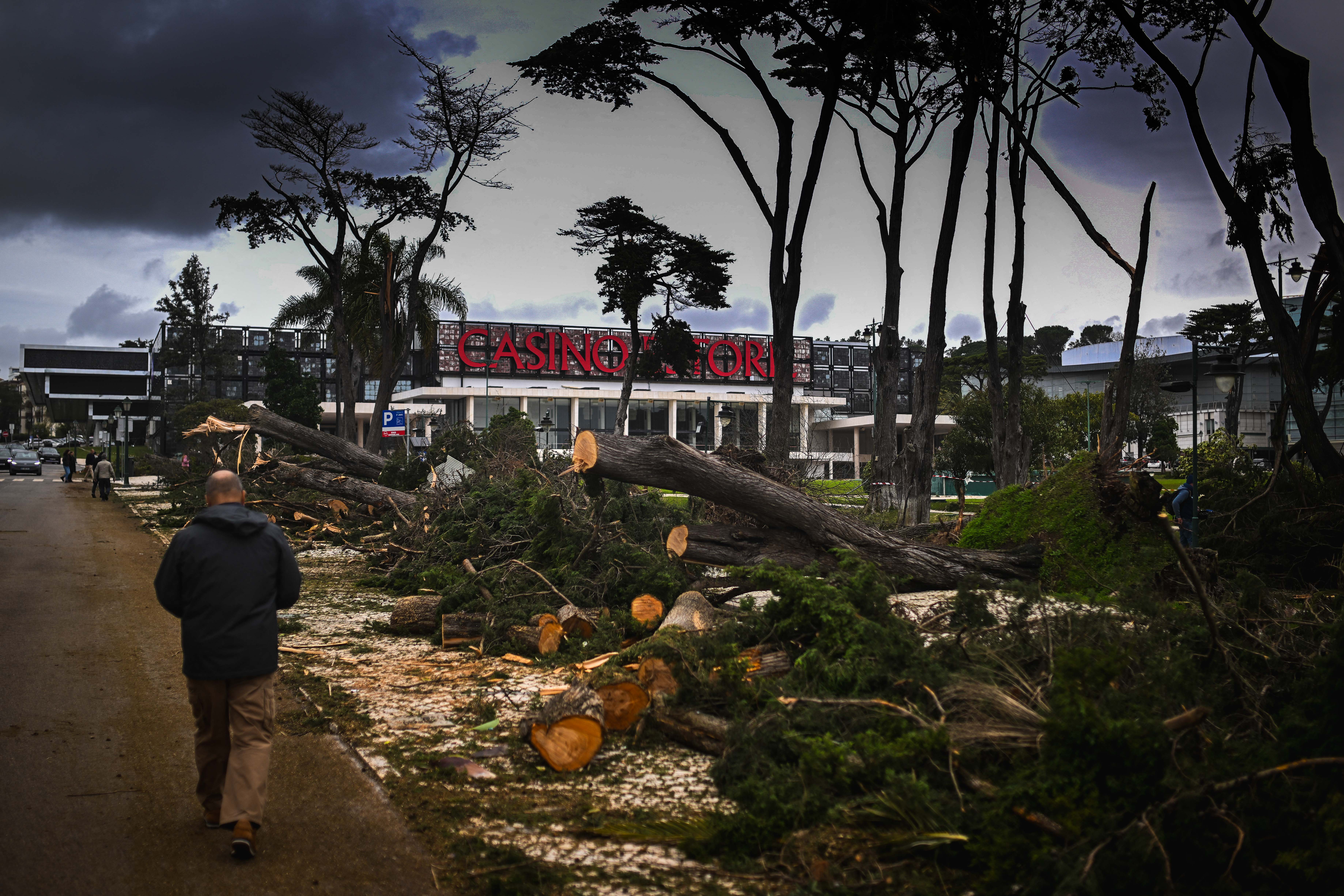 Day in Photos: Storm Martinho in Portugal, Suspension Bridge Collapses in Ecuador, and Basalt Columns in Ireland