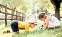 Curiosity: How You Think Makes All the Difference