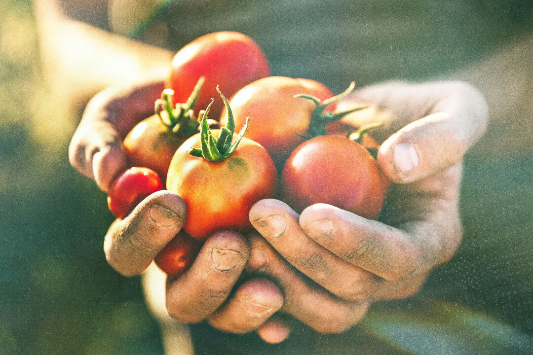 Can Lycopene Be a Natural Antidepressant?