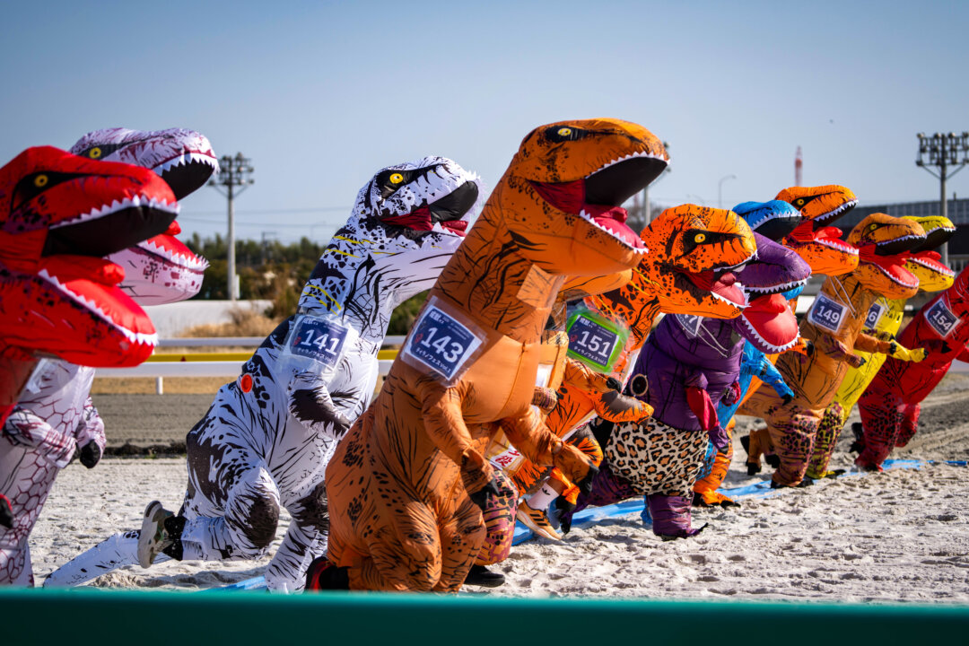NextImg:Day in Photos: Tyrannosaurus Race, Protests in Germany, and British Gymnastics Championships
