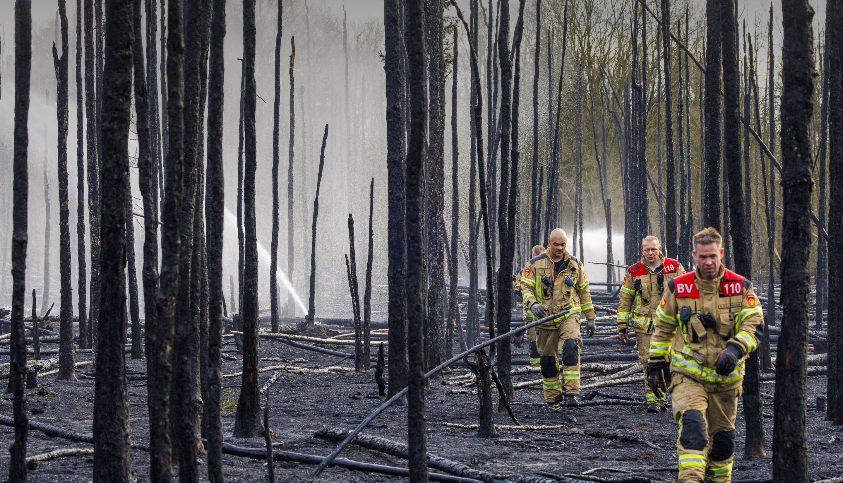 Day in Photos: Forest Fire in Belgium, Snap Elections Called in Canada, and Celebration in Zimbabwe