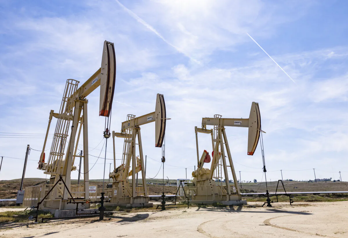 Oil pumps work in synced operation outside of Bakersfield, Calif., on March 21, 2025. (John Fredricks/The Epoch Times)