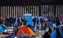 Illegal Immigrants on Terror Watchlist Received Medicaid, Unemployment Insurance: DOGE