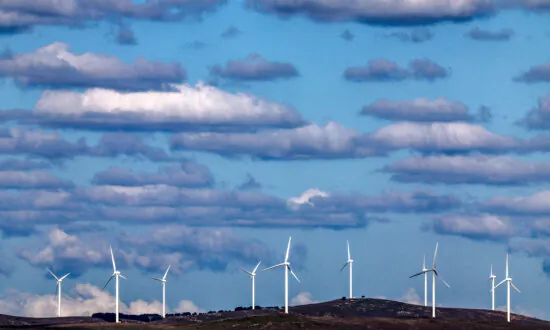 Number of Australians Worried About Climate Change Drops to Just 12 Percent: Survey