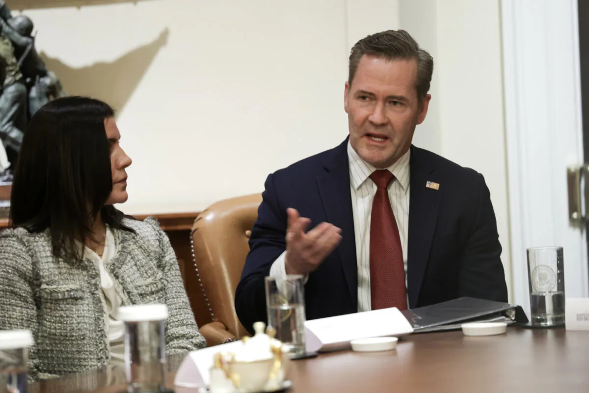 National security advisor Mike Waltz speaks during an ambassador meeting in the Cabinet Room of the White House on March 25, 2025. (Win McNamee/Getty Images)