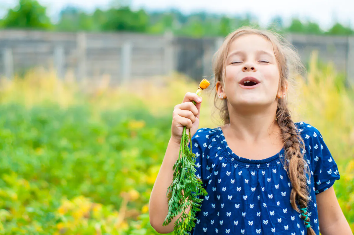 Gardening offers rest to the soul while also giving back to the environment. (QKon Studio/Shutterstock)