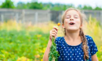 Learn as You Grow: What Every Beginner Gardener Should Know