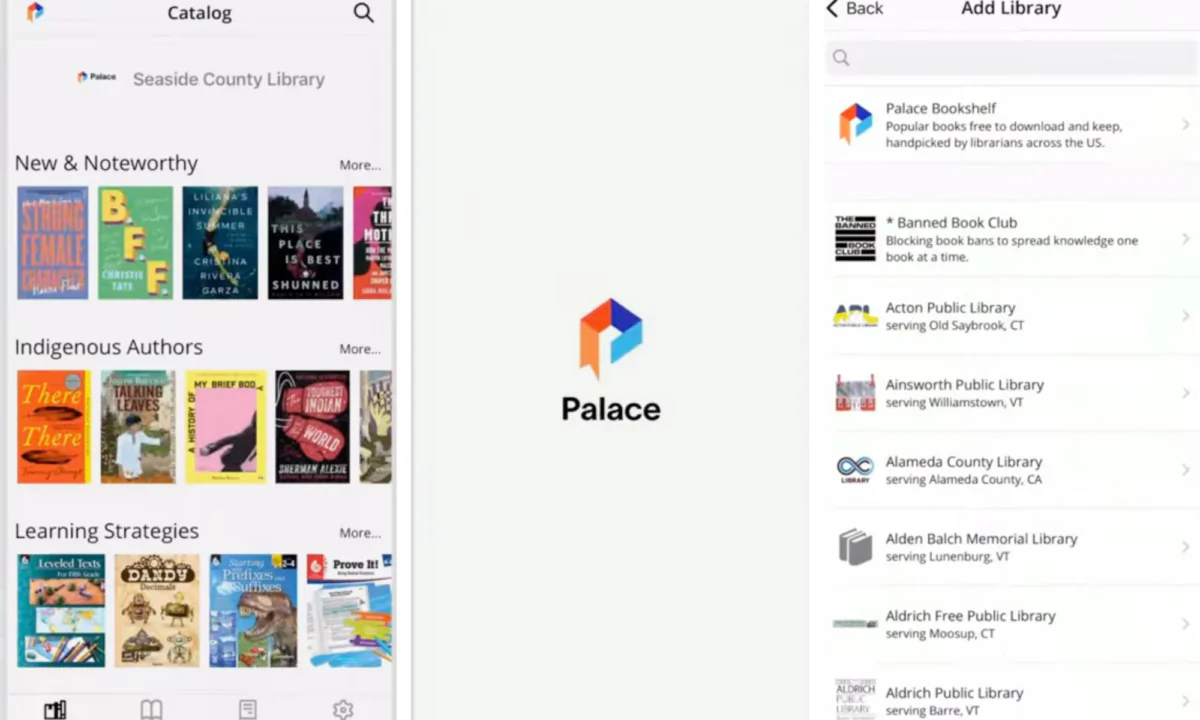 The Palace app accesses pages shown in a tutorial video. (The Palace Project/Screenshot via The Epoch Times)