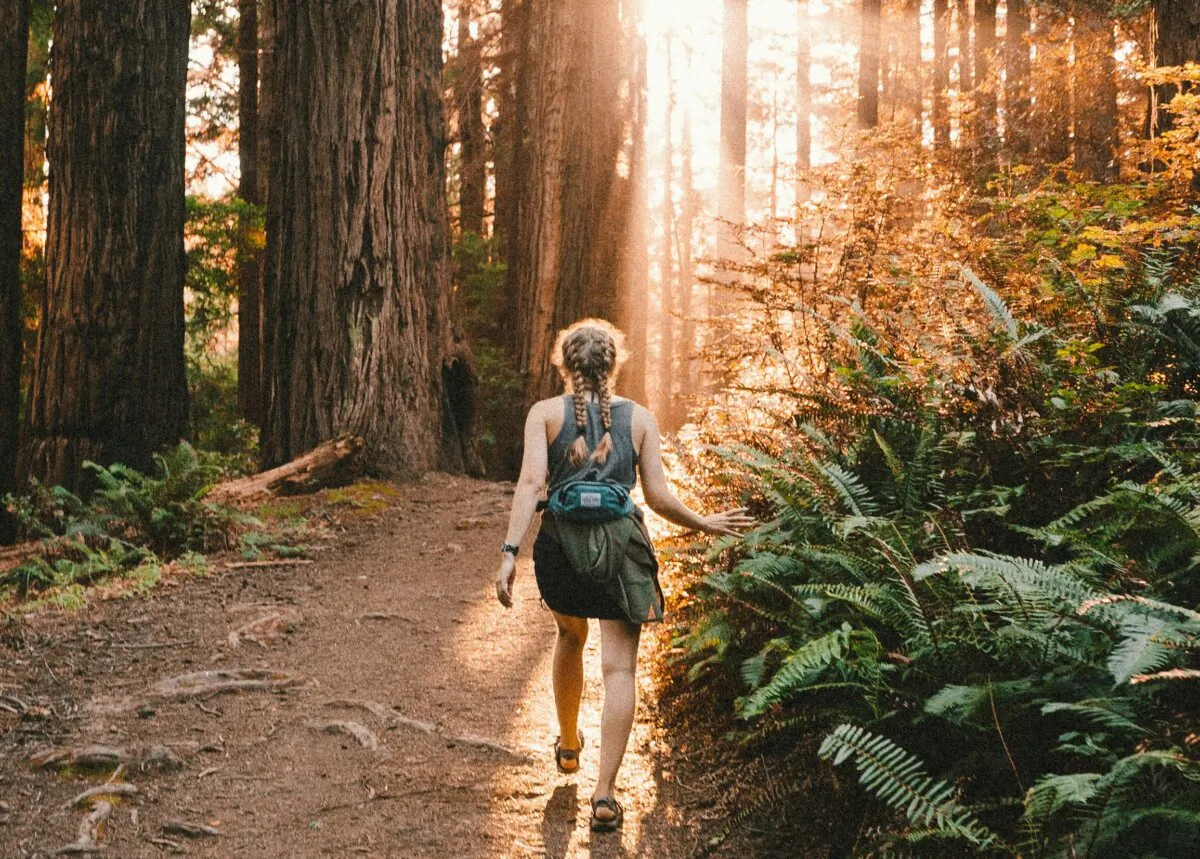 Nature encourages mindfulness—the practice of staying present in the moment. (Kevin Wolf/Unsplash)