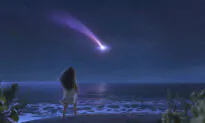 Disney Didn’t Copy ‘Moana’ From Man’s Story of Surfer Boy, Jury Says