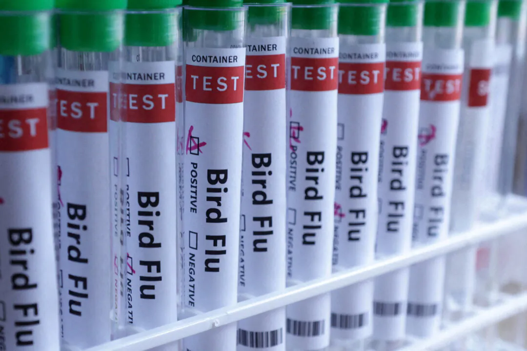 Test tubes are seen labelled "Bird Flu" words in this illustration taken, June 10, 2024. (Dado Ruvic/Illustration/Reuters)