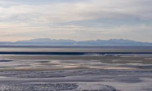 US Sells 5 Oil and Gas Leases in Alaska’s Arctic Refuge for $3.7 Million