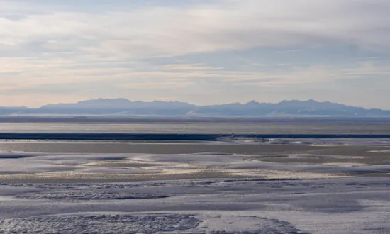 US Sells 5 Oil and Gas Leases in Alaska’s Arctic Refuge for $3.7 Million