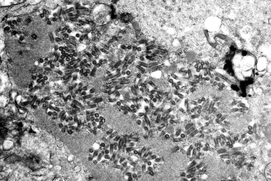 USDA Is Airdropping Rabies Vaccines in 6 States This Month