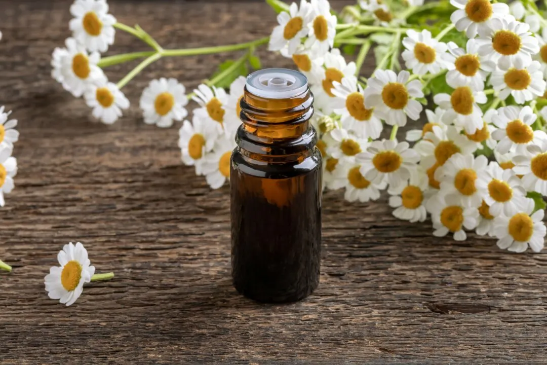 Is Feverfew the Petal-Powered Migraine Whisperer?