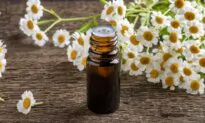 Is Feverfew the Petal-Powered Migraine Whisperer?