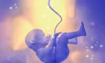 Study: Umbilical Cord Holds Answers to Future Disease