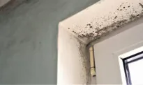 Eliminate Damp, Moldy Odors