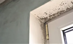 HHS Holds Mold Surveillance Roundtable