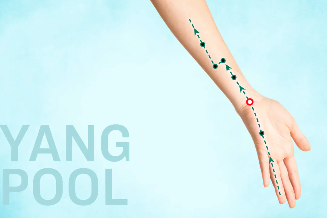 Yang Chi: Give Your Wrists the Care They Deserve